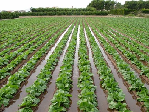 طراحی سیستم آبیاری کم فشار